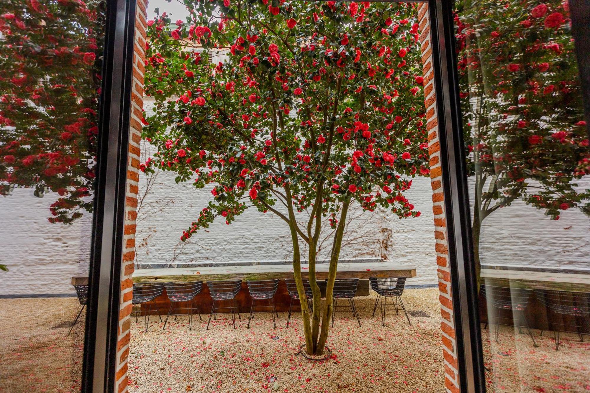 Btfl Living Antwerp Apartamento Exterior foto
